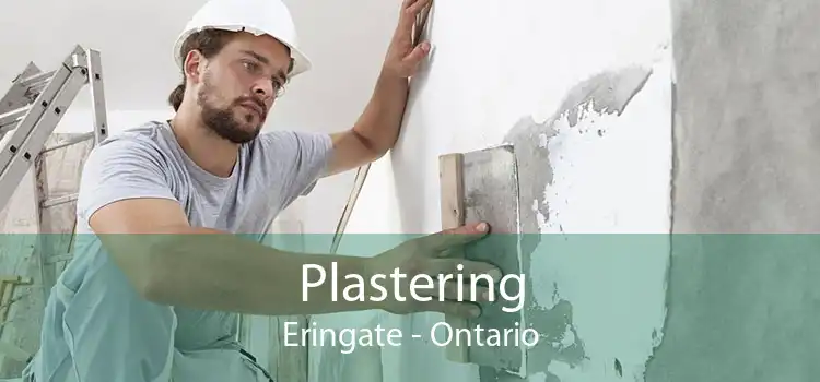 Plastering Eringate - Ontario
