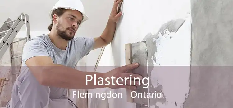 Plastering Flemingdon - Ontario