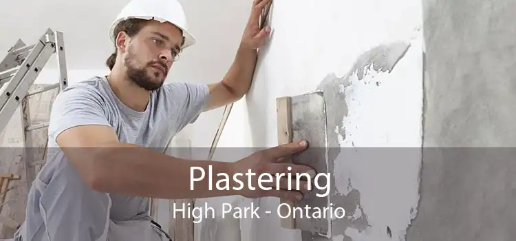 Plastering High Park - Ontario