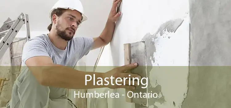 Plastering Humberlea - Ontario