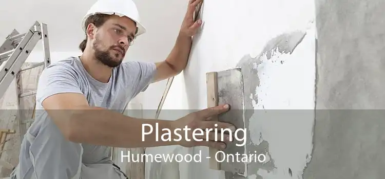 Plastering Humewood - Ontario
