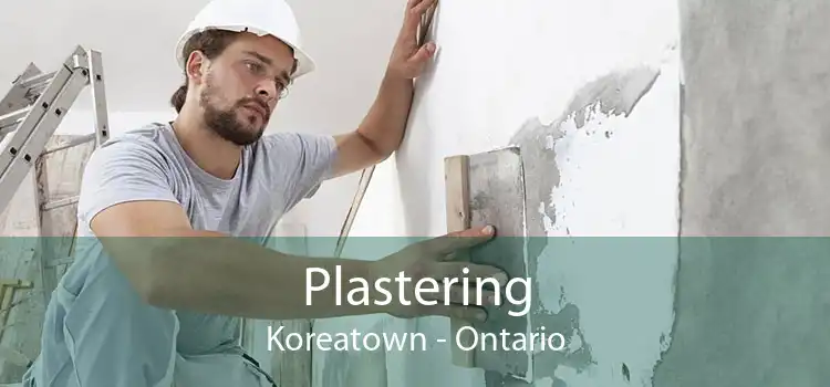 Plastering Koreatown - Ontario