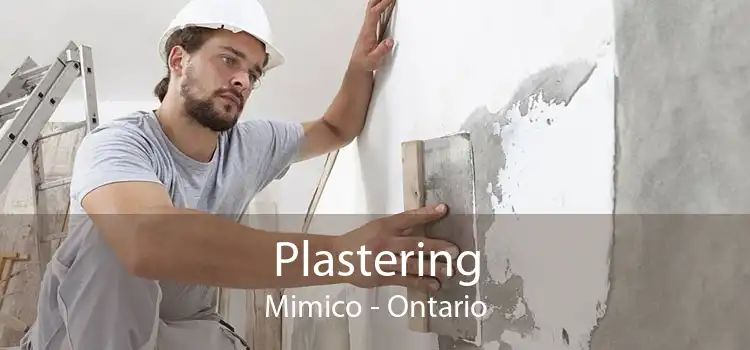 Plastering Mimico - Ontario