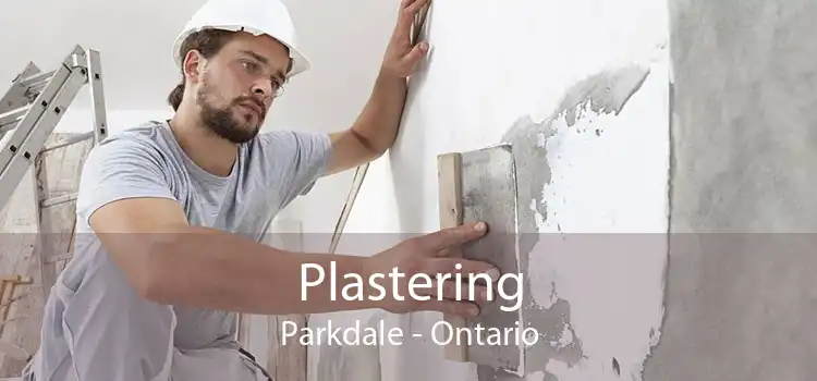 Plastering Parkdale - Ontario