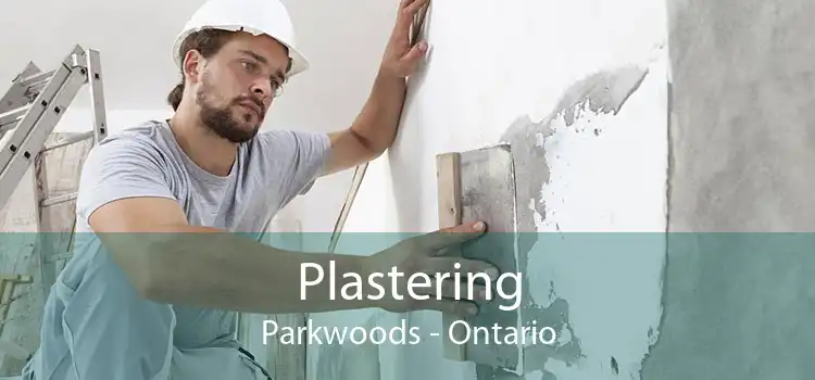 Plastering Parkwoods - Ontario