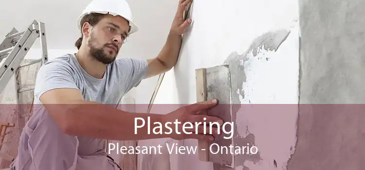 Plastering Pleasant View - Ontario