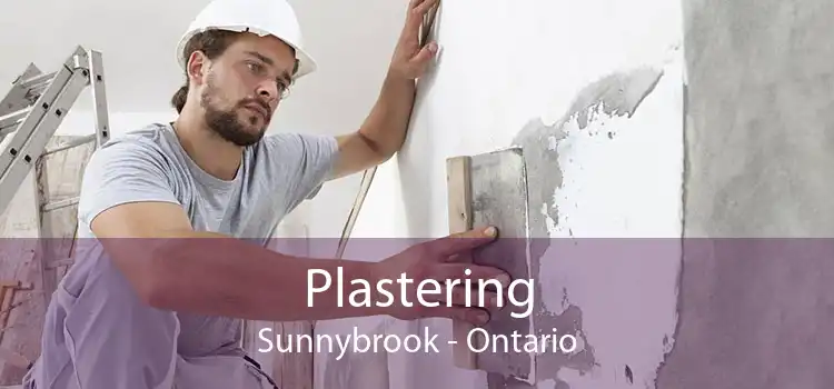 Plastering Sunnybrook - Ontario