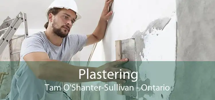 Plastering Tam O'Shanter-Sullivan - Ontario