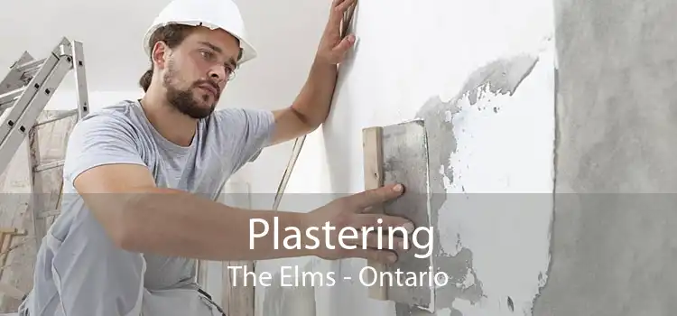 Plastering The Elms - Ontario