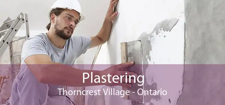 Plastering Thorncrest Village - Ontario
