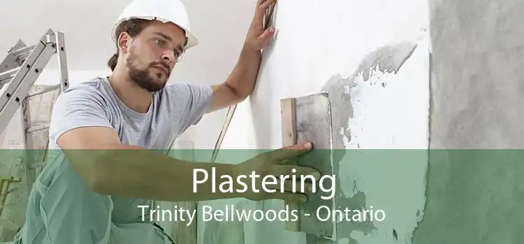 Plastering Trinity Bellwoods - Ontario