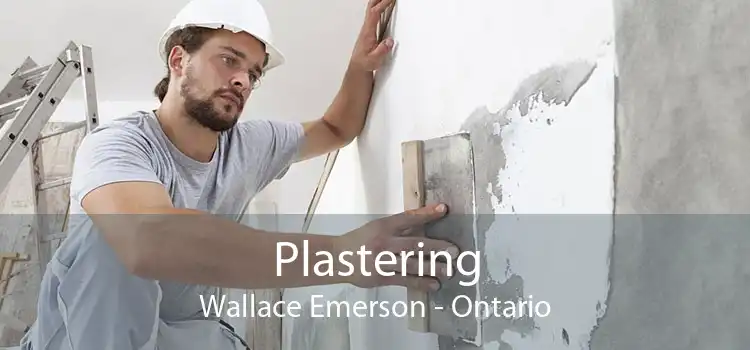 Plastering Wallace Emerson - Ontario