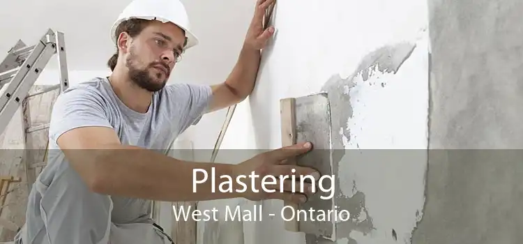 Plastering West Mall - Ontario