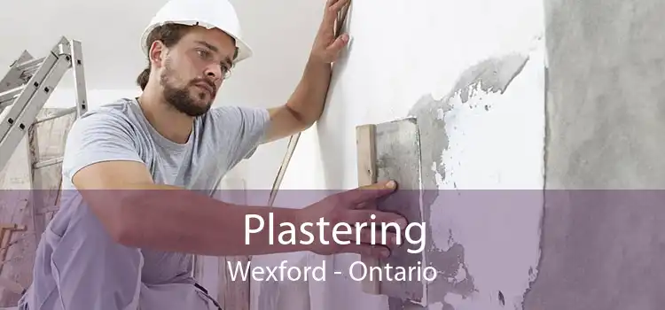 Plastering Wexford - Ontario