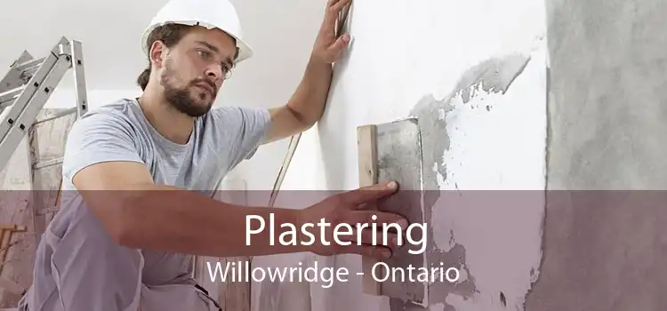 Plastering Willowridge - Ontario