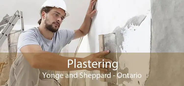 Plastering Yonge and Sheppard - Ontario