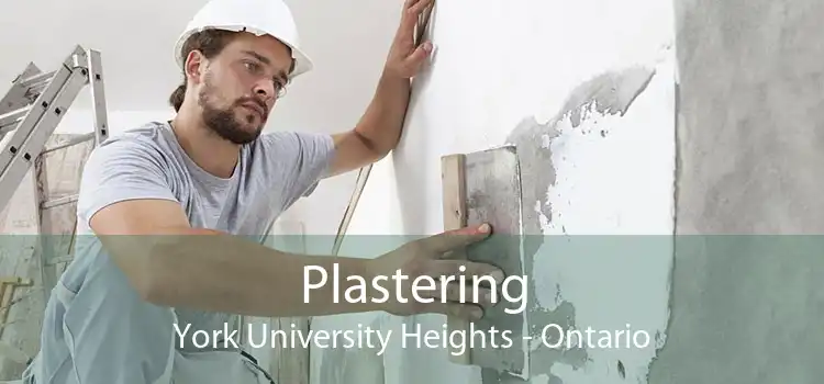 Plastering York University Heights - Ontario