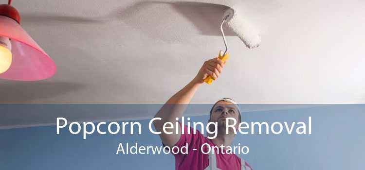 Popcorn Ceiling Removal Alderwood - Ontario