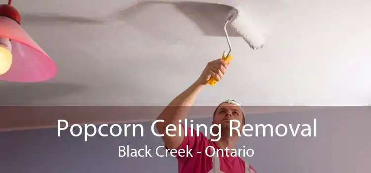 Popcorn Ceiling Removal Black Creek - Ontario