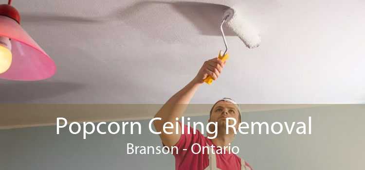 Popcorn Ceiling Removal Branson - Ontario