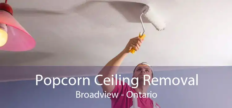 Popcorn Ceiling Removal Broadview - Ontario