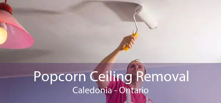 Popcorn Ceiling Removal Caledonia - Ontario