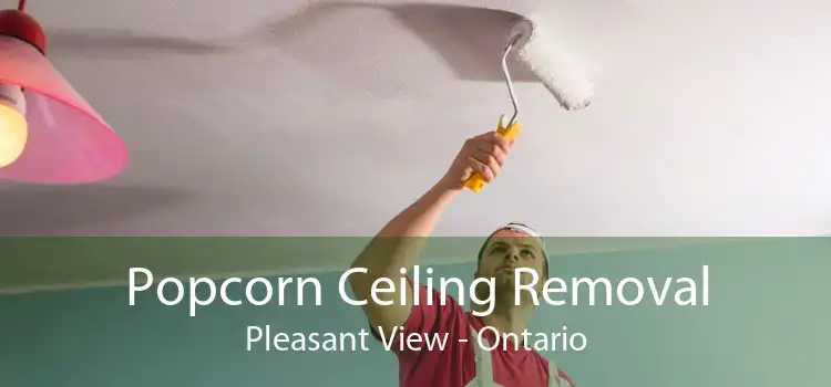 Popcorn Ceiling Removal Pleasant View - Ontario