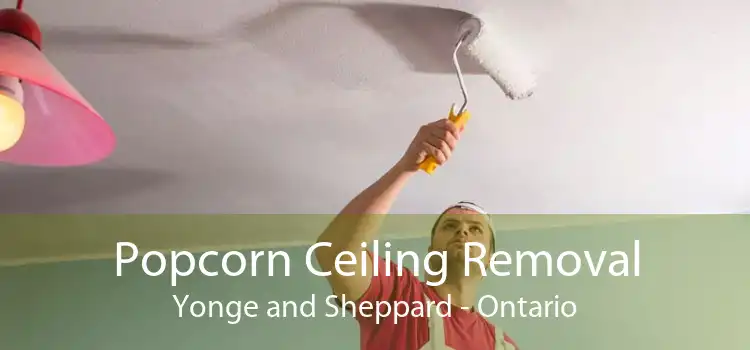 Popcorn Ceiling Removal Yonge and Sheppard - Ontario