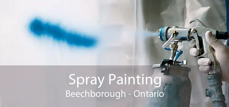 Spray Painting Beechborough - Ontario