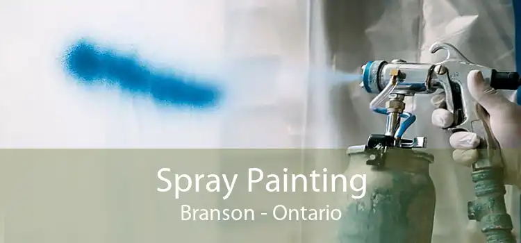Spray Painting Branson - Ontario