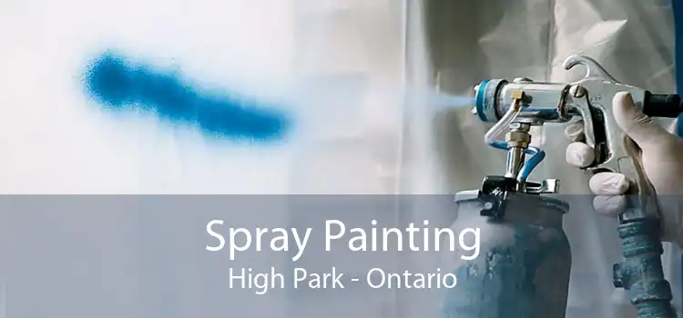 Spray Painting High Park - Ontario