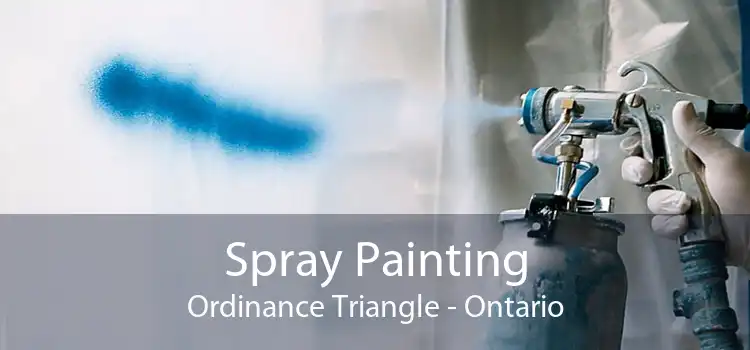 Spray Painting Ordinance Triangle - Ontario