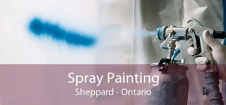Spray Painting Sheppard - Ontario