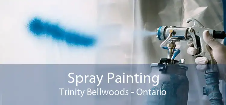 Spray Painting Trinity Bellwoods - Ontario
