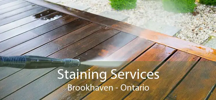 Staining Services Brookhaven - Ontario