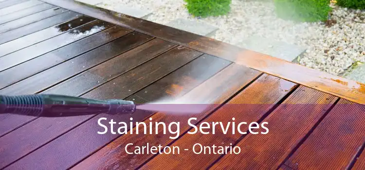 Staining Services Carleton - Ontario