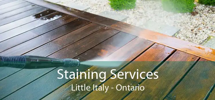 Staining Services Little Italy - Ontario