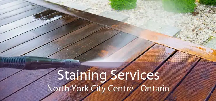 Staining Services North York City Centre - Ontario