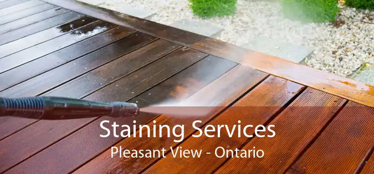 Staining Services Pleasant View - Ontario