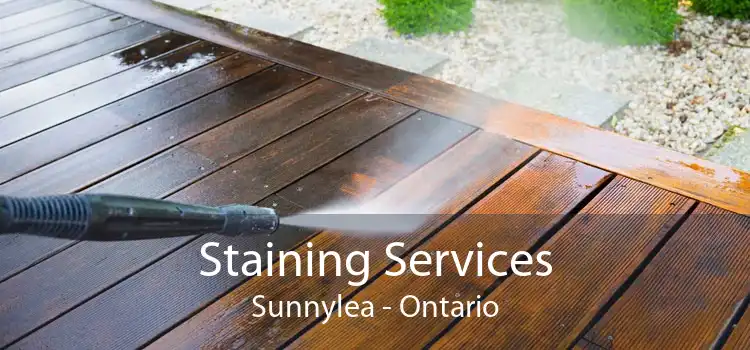 Staining Services Sunnylea - Ontario
