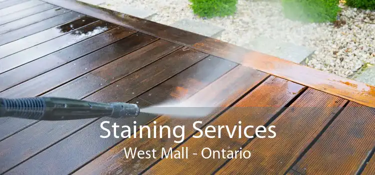 Staining Services West Mall - Ontario